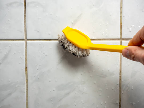 Best Health and Safety Mold Remediation in New Burlington, OH