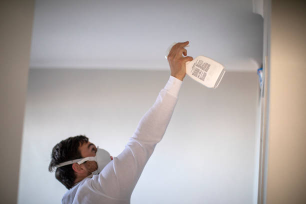 Best Post-Remediation Services in New Burlington, OH